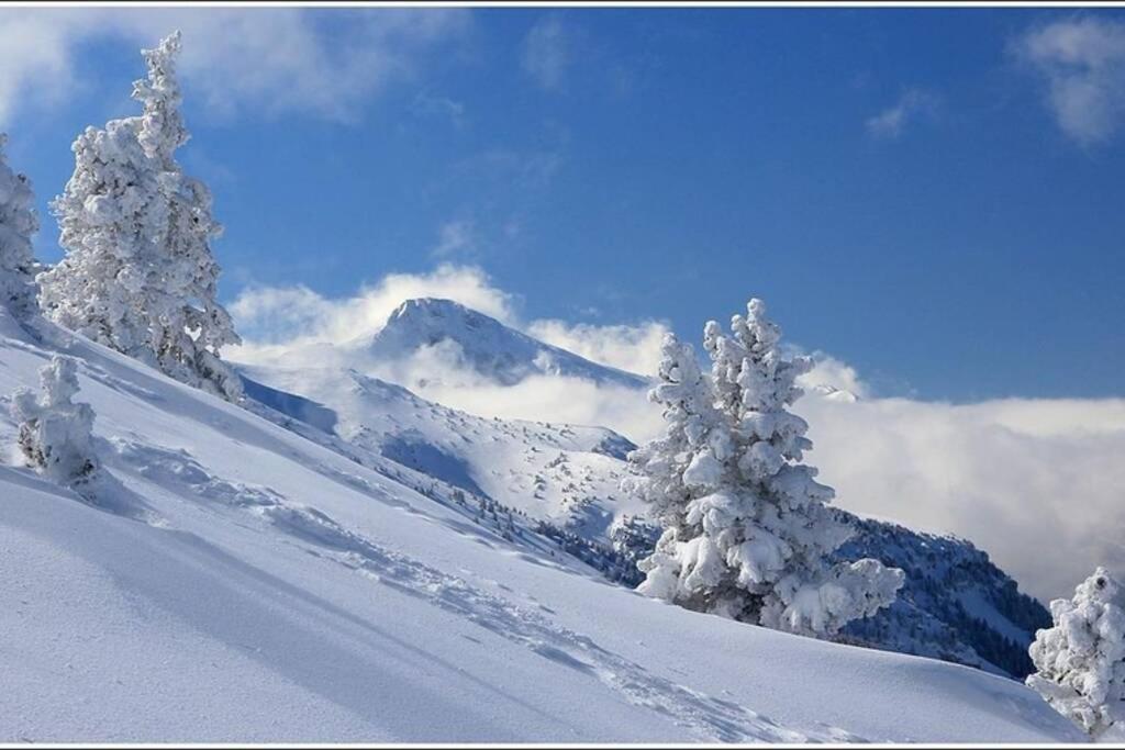 Studio Cosy Au Coeur Du Village Pour 4 Personnes Lans-en-Vercors Esterno foto